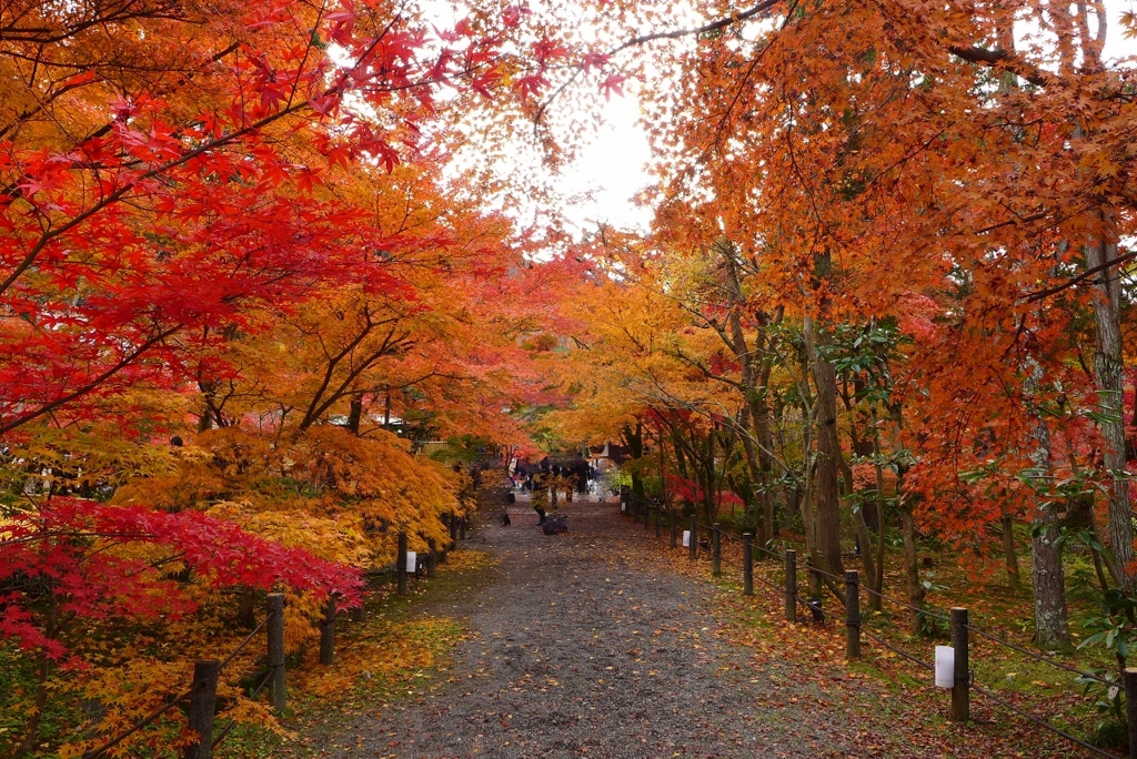 永観堂（京都）