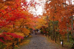 永観堂（京都）