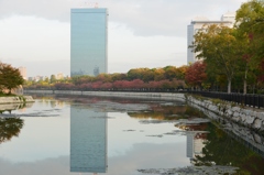 大阪城公園