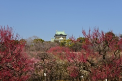 大阪城公園