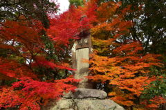 南禅寺（京都）
