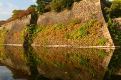 大阪城公園
