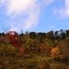 空　山