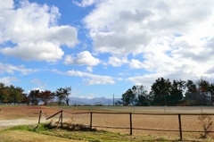 球場