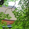 太宰府天満宮