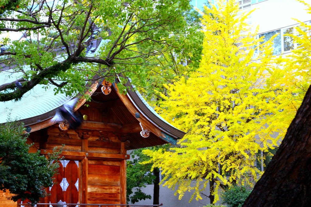 天神　警固神社