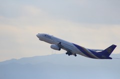 どこの飛行機かな？