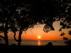 夕日