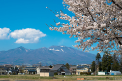 浅間山と桜