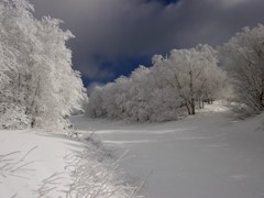 蔵王上の台３