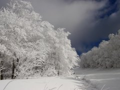 蔵王上の台４