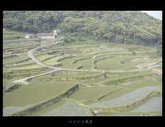 のどかな風景