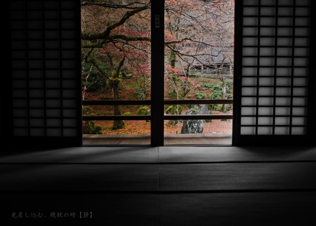 光差し込む、晩秋の時 【静】