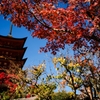 五重塔と紅葉