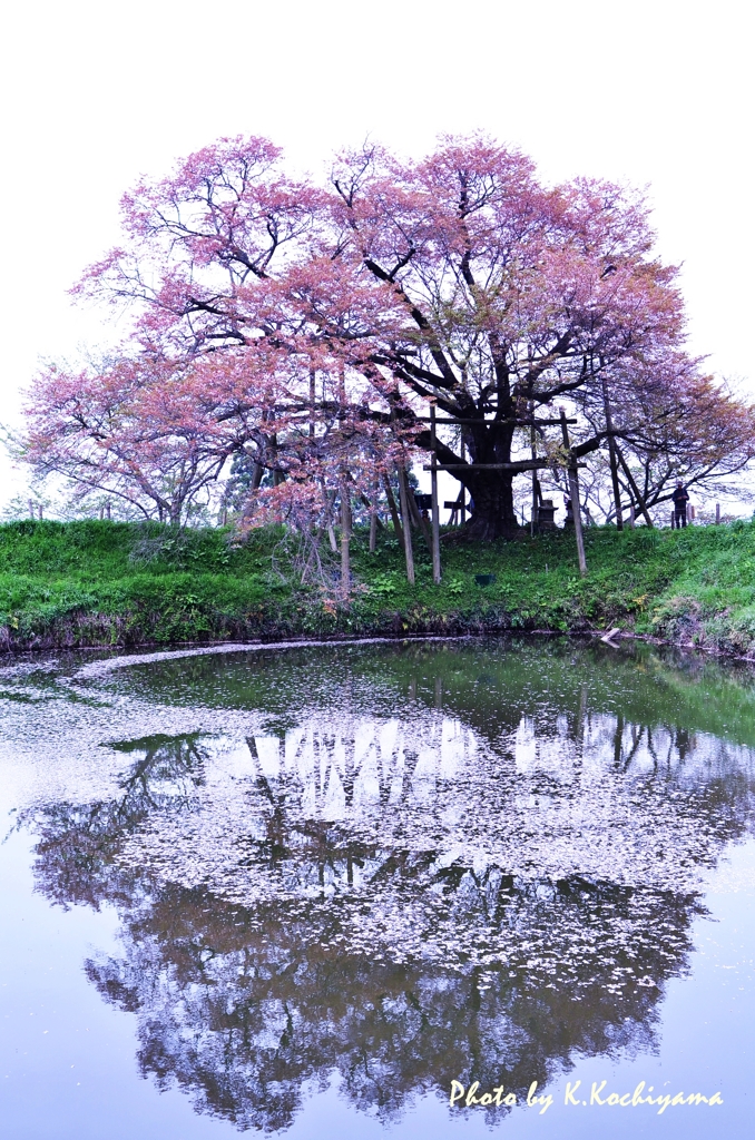 『かがみよ、かがみ・・・世界で一番美しいのは・・・』