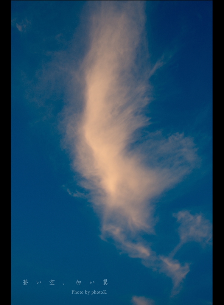 蒼　い　空　、　白　い　翼