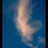 蒼　い　空　、　白　い　翼
