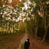 河内藤園　12.11.14