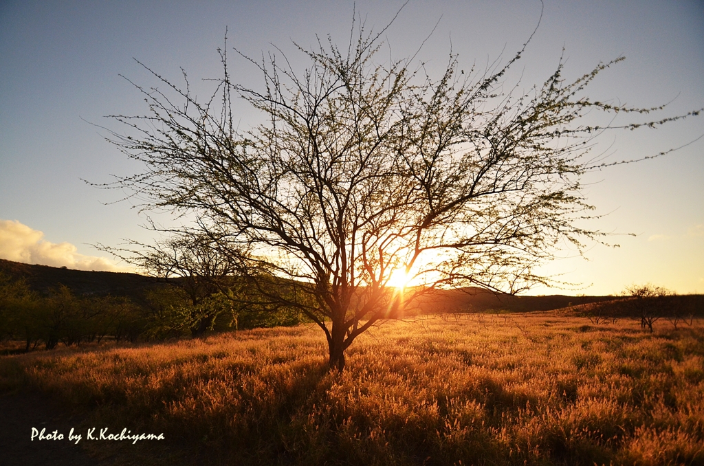 なぜ陽はかくも美しいのか・・・