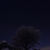 雪の華