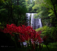 河童に花を