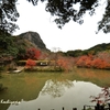 御船山楽園　12.11.21