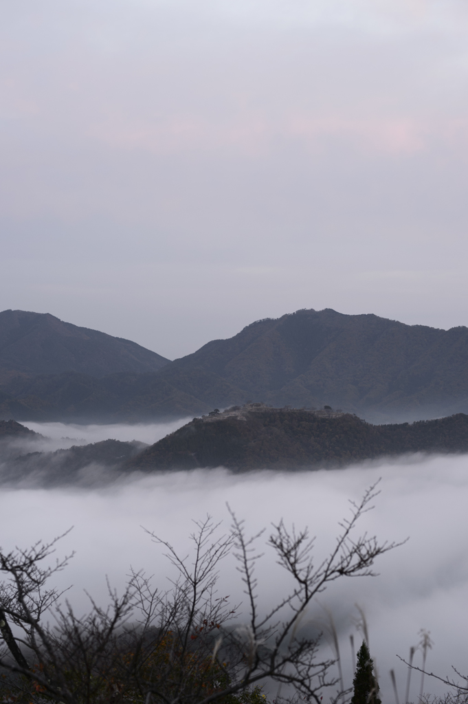 広がる雲海