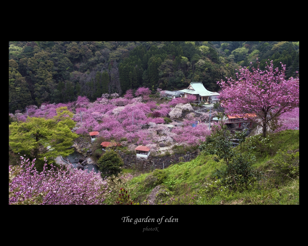 The garden of eden