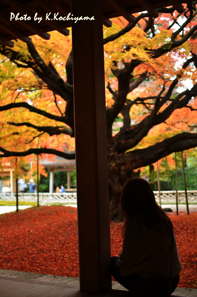 雷山千如寺　12.11.11