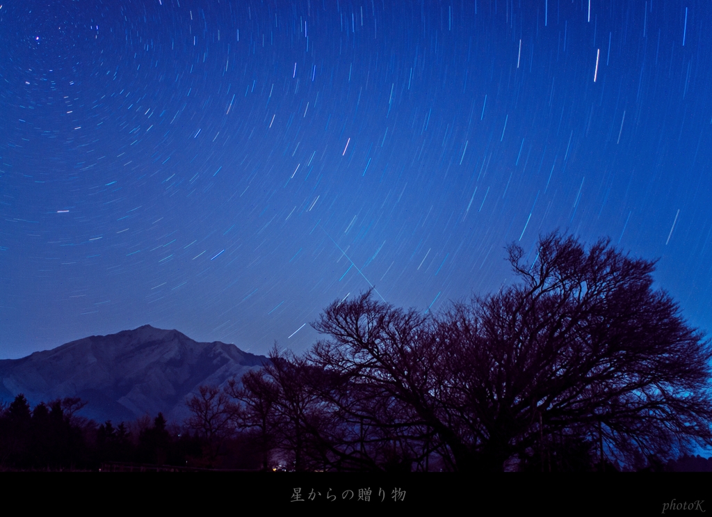 星からの贈り物