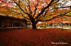 雷山千如寺　12.11.11