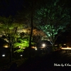 御船山楽園　たまゆらのゆうべ5