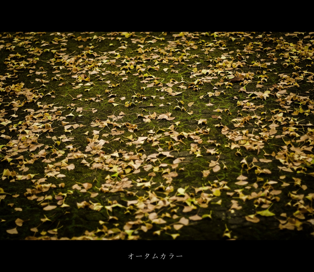 舞鶴公園スナップ♯5