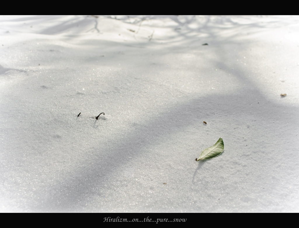 Hiralizm...on...the...pure...snow