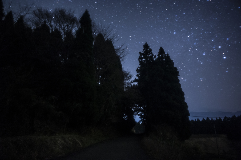 道の先に広がる星空