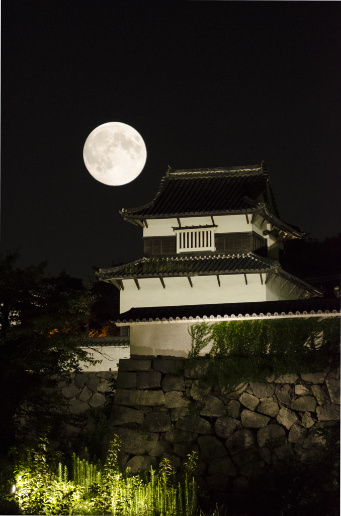 中秋の名月with福岡城跡付近2