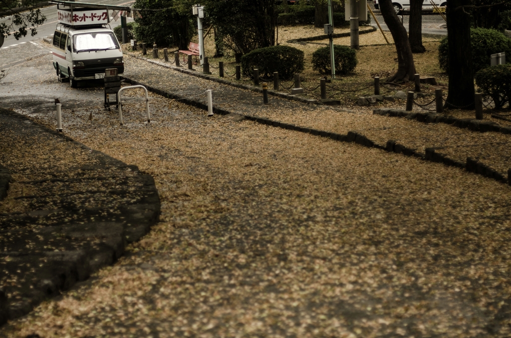 舞鶴公園スナップ♯6