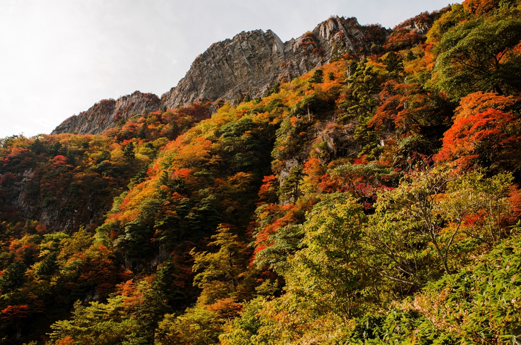 Welcome to autumn landscape!!