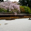 禅の庭