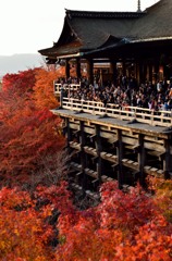 清水寺の舞台