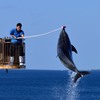 Nice Jump!