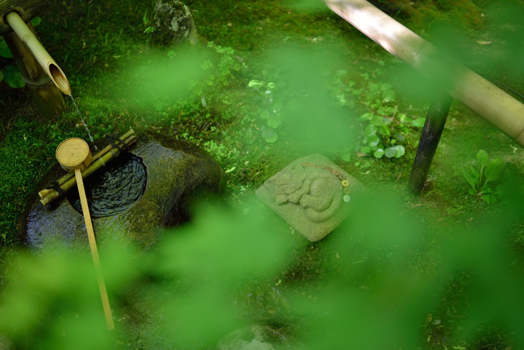 青葉と静寂