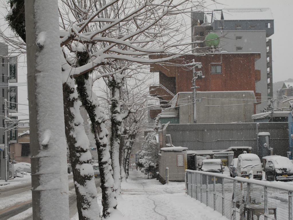 極寒の地、長崎３