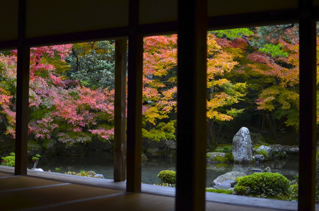 蓮花寺　庭園
