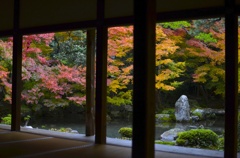 蓮花寺　庭園