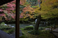 蓮花寺　庭園２