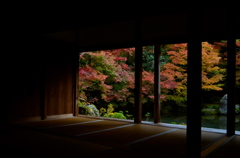 蓮花寺の庭園が覗く