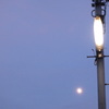 月と電柱