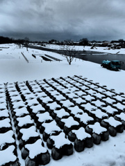 冬の犀川沿い 雪見橋から