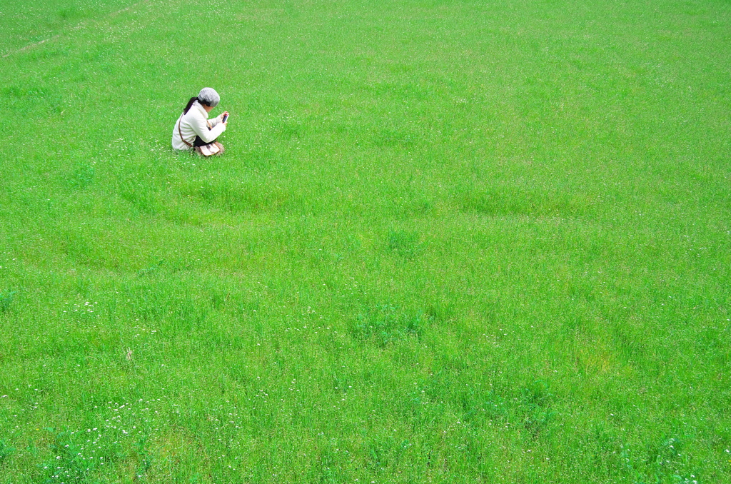 草原の中で写真撮影(^^)
